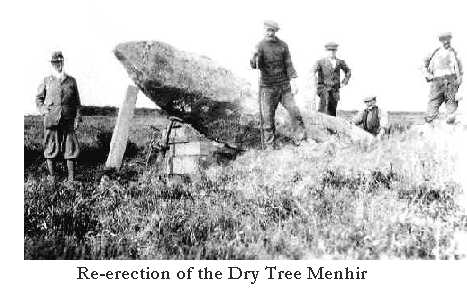 Re erection of the Dry trees Menhir