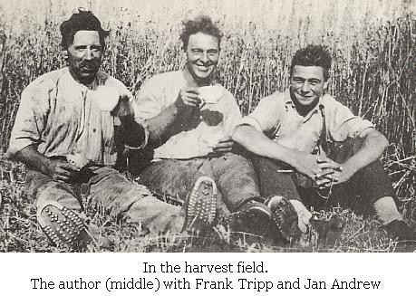 In the Harvest Field In The Harvest Field