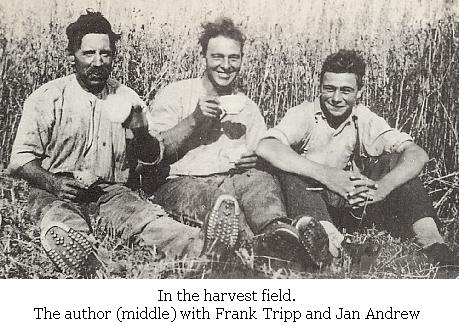 In The Harvest Field