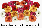 Gardens in Cornwall