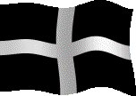 Flag of St. Piran