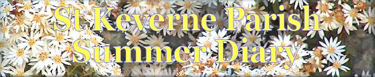 St Keverne - Summer Diary
